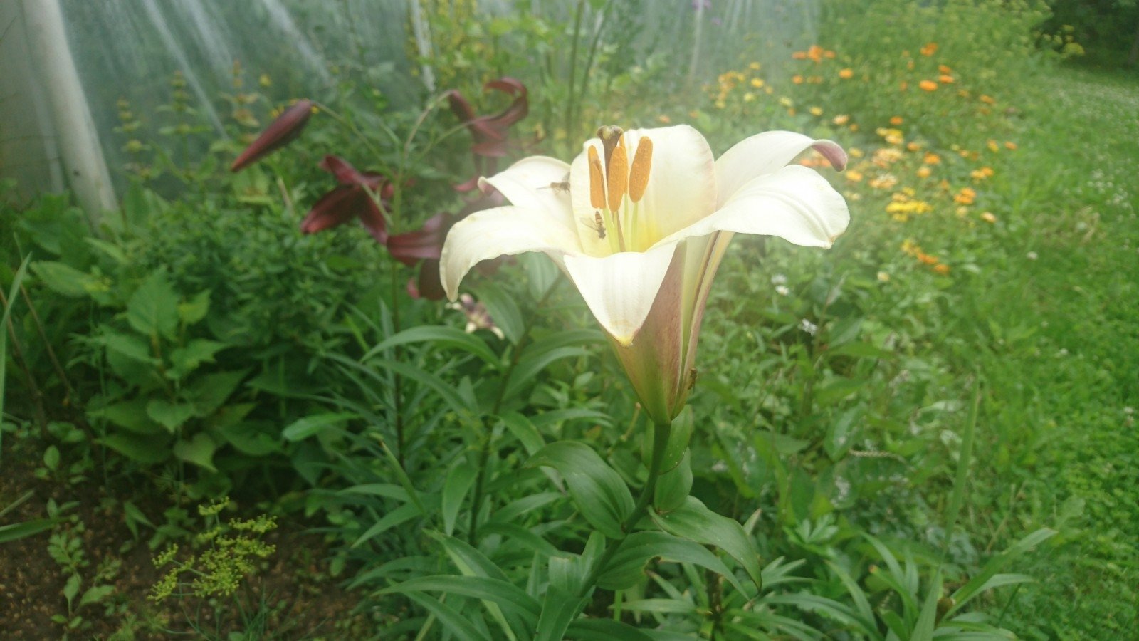 Apie šių dienų švietimą